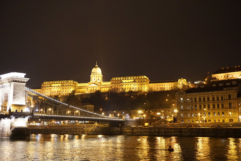 A view from Christmas Market Cruise on the Danube River
