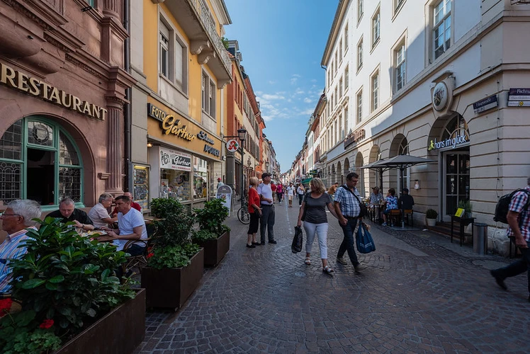 Heidelberg Shopping District During Viking Excursion