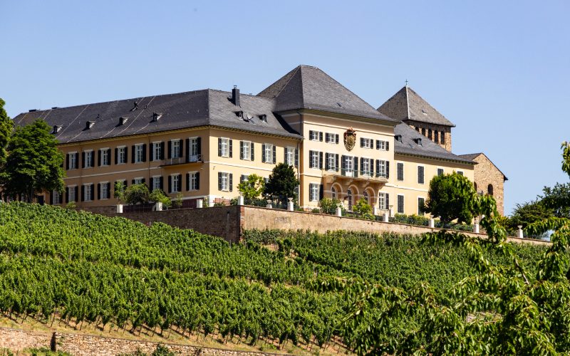 Vineyards along the Avalon Waterway Cruise Vineyards along the Avalon Waterway Cruise